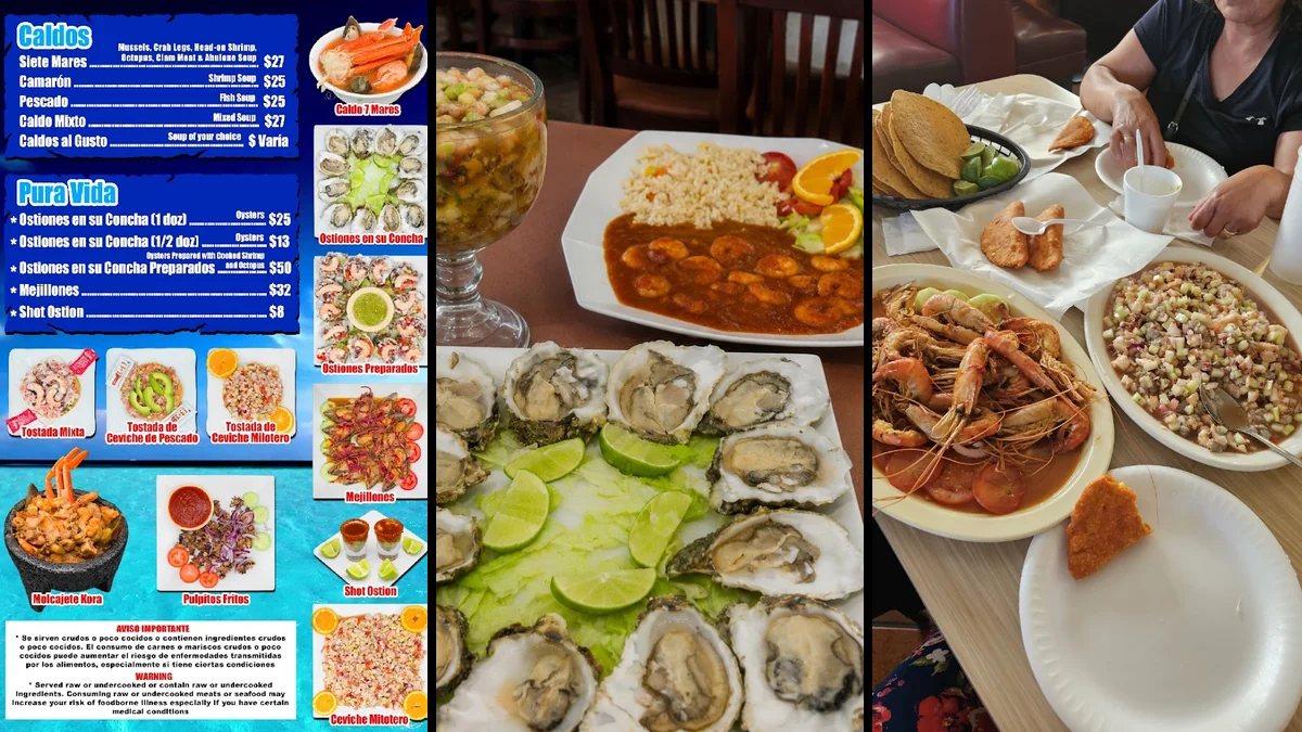 Fresh coastal-style plates ready for sharing.